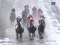 一般動画