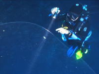 なんだこの生き物！？海の生物の不思議。トルコの海で目撃した巨大で透明な物体。