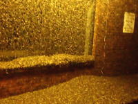 これは恐怖の館。無数のカゲロウに占拠されかけているコインランドリー