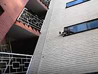 難しい事をしようとして悲惨な事になるニャンコの映像が撮影される