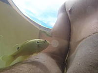 乳首にロックオンｗお魚さんに乳首を噛みつかれるまさかのハプニング映像。