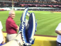 これもベースボールの楽しみ方の一つ。観客席でホームランボールをキャッチしまくる男。