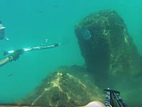 お魚突きでちょっとワロタ動画。そんな事ってある？ｗ効果音は卑怯ｗ